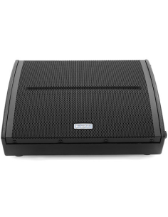 Enceinte de retour de scène...